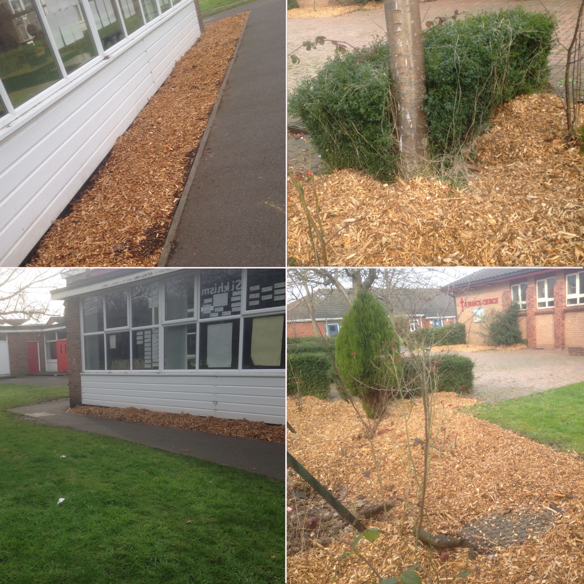 st francis school woodchip (2)
