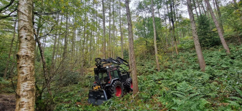 woodland management