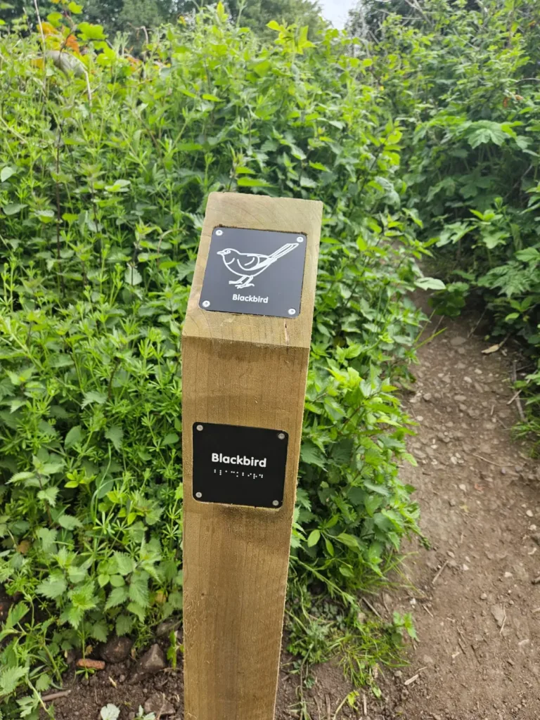 img 20260507 wa0017